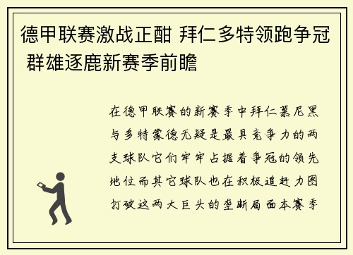 德甲联赛激战正酣 拜仁多特领跑争冠 群雄逐鹿新赛季前瞻